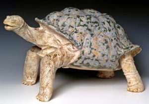 galapagos-tortoise-patrick-johnson