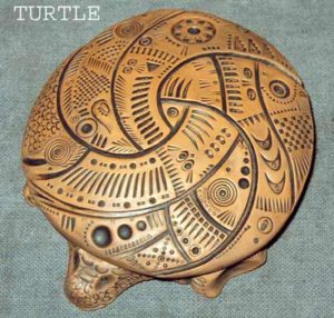 turtle1